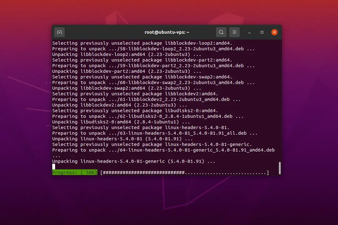 Ubuntu 20.04 LTS Terminal ssh vps apt upgrade progress
