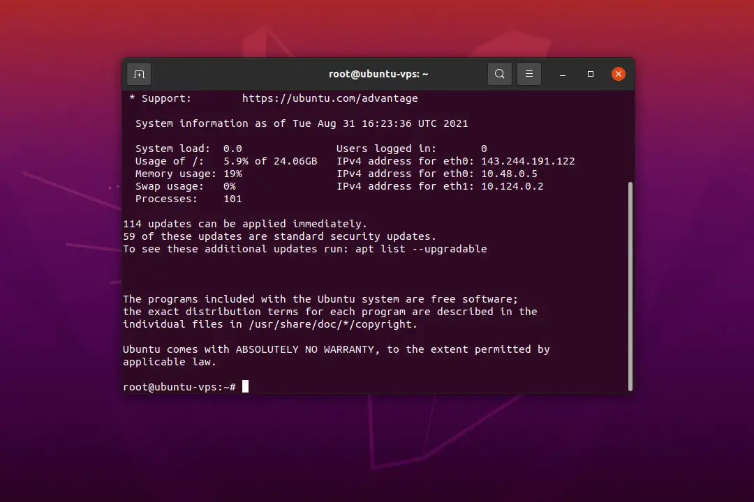 Ubuntu 20.04 LTS Terminal ssh vps connected
