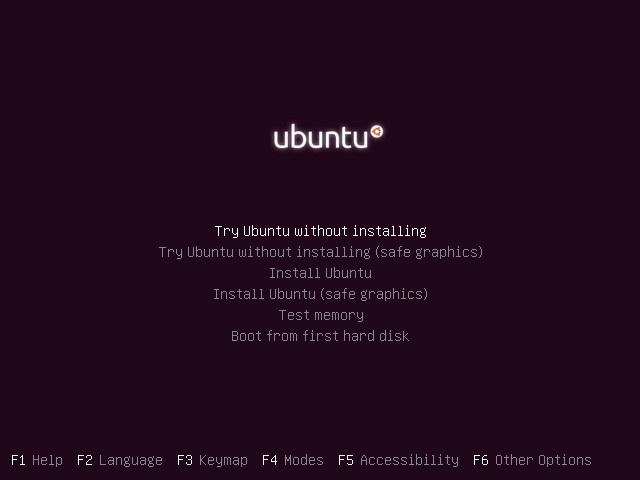 Ubuntu 20.04 Installation Boot Options Screen