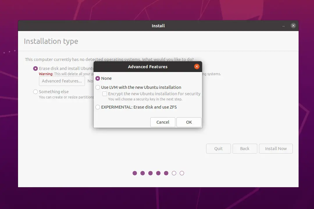 Ubuntu 20.04 Partition Advanced Features Window