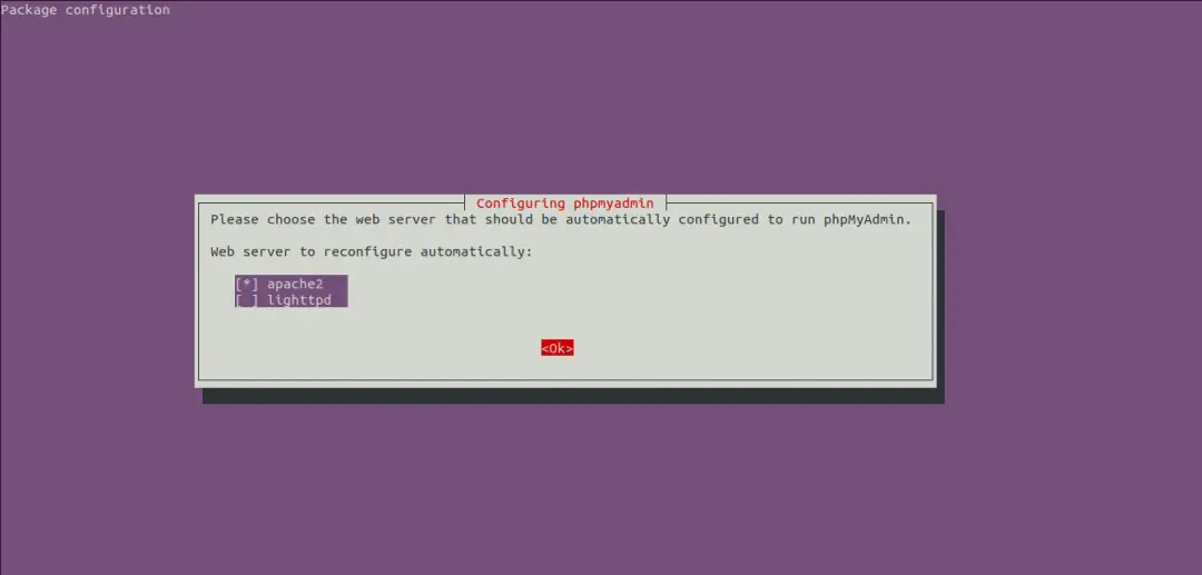 phpMyAdmin Webserver Selection Screen