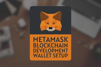 MetaMask Testnet Wallet Setup for Blockchain Development