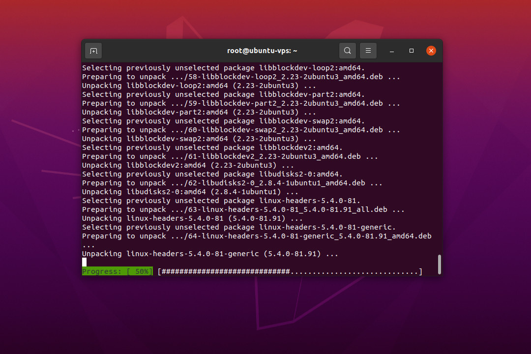 Ubuntu 20.04 LTS Terminal ssh vps apt upgrade progress