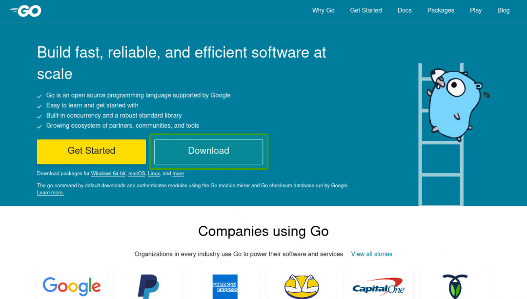 go.dev home page