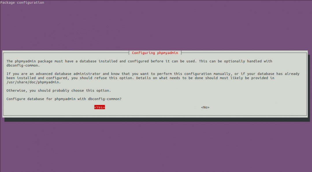 phpMyAdmin Installation dbconfig-common Configuration