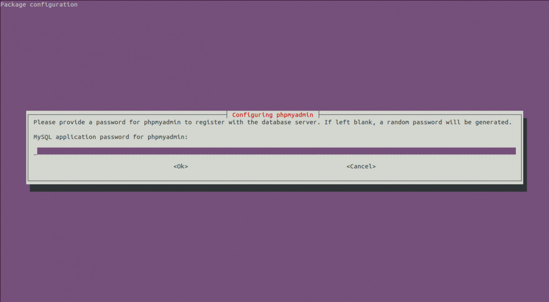 phpMyAdmin Installation Password